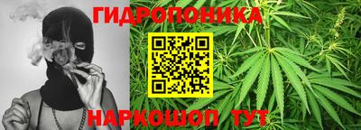 мдма Новодвинск