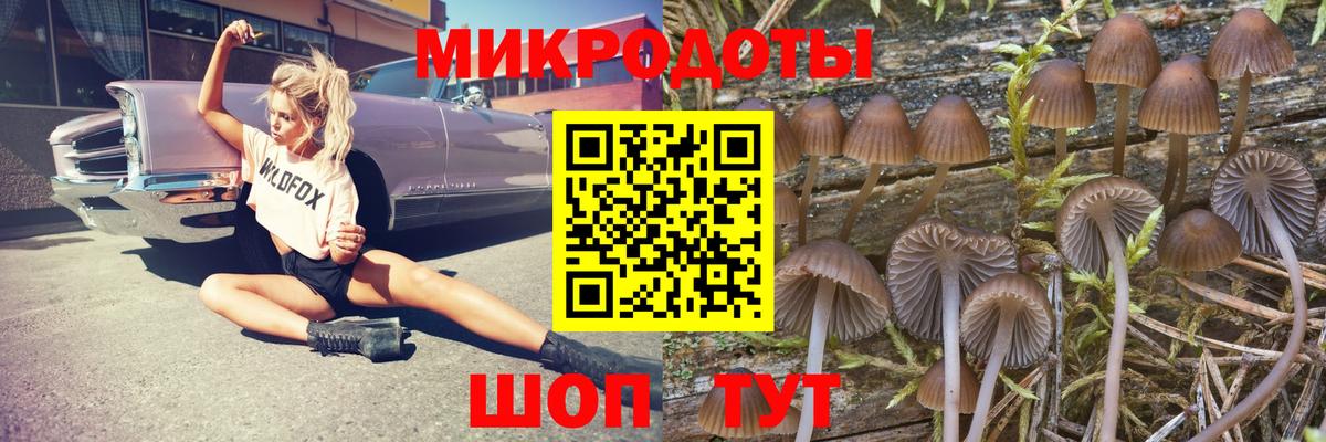 Псилоцибиновые грибы GOLDEN TEACHER Биробиджан