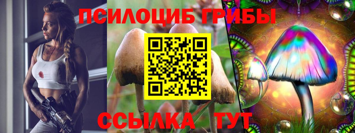 Псилоцибиновые грибы MAGIC MUSHROOMS  Вход с VPN  Биробиджан 